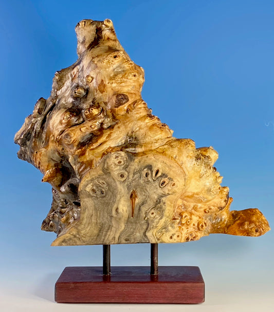 SCULPTURAL FORM TURNED FROM BUCKEYE BURL