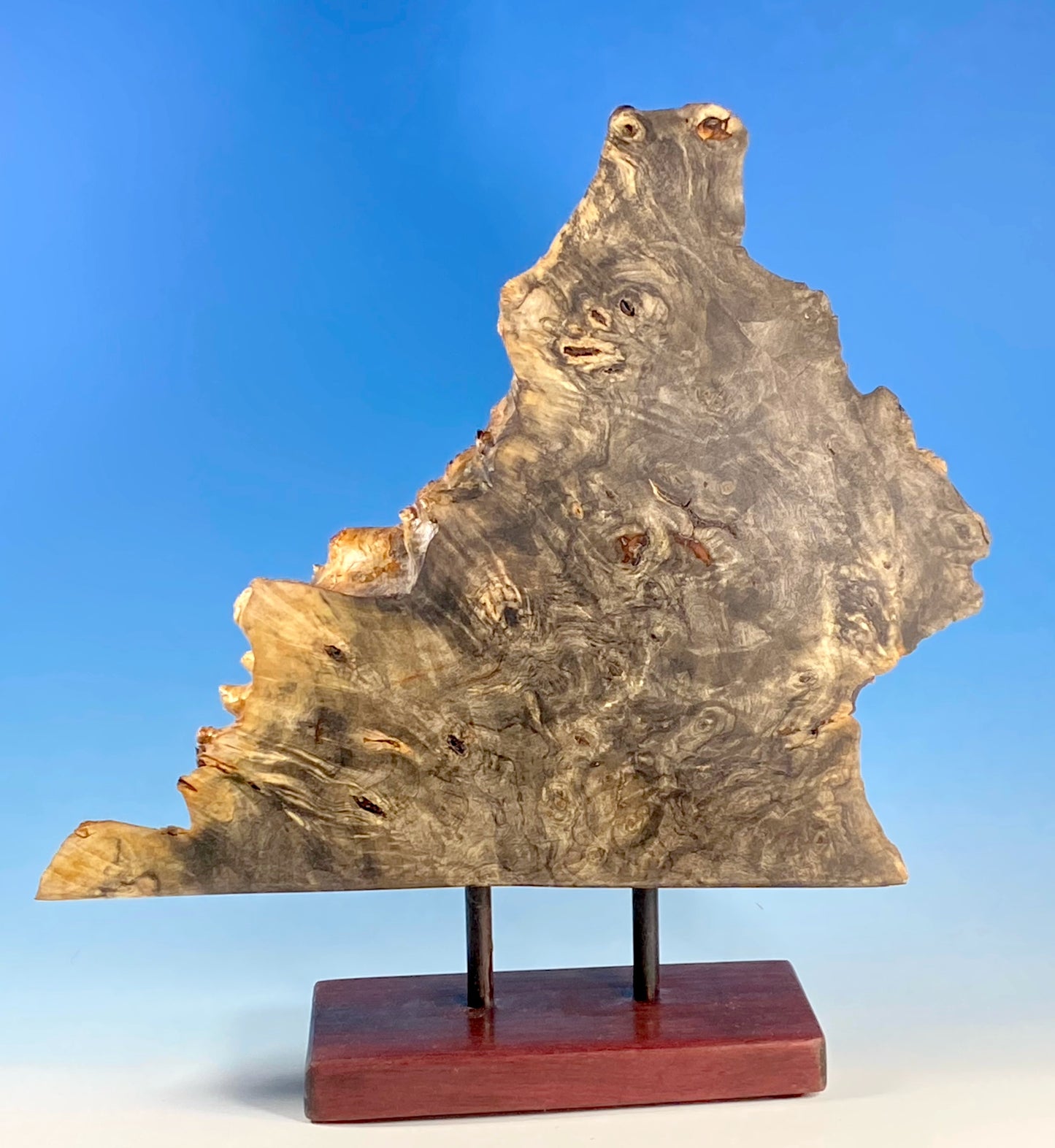 SCULPTURAL FORM TURNED FROM BUCKEYE BURL