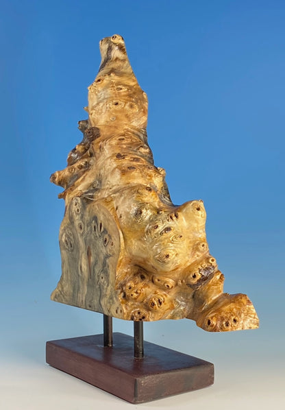 SCULPTURAL FORM TURNED FROM BUCKEYE BURL