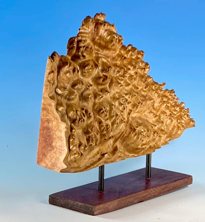 DISPLAY PIECE TURNED FROM RED MALLEE BURL